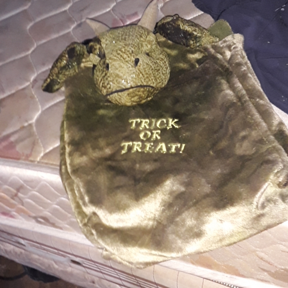 Trick or treat bag